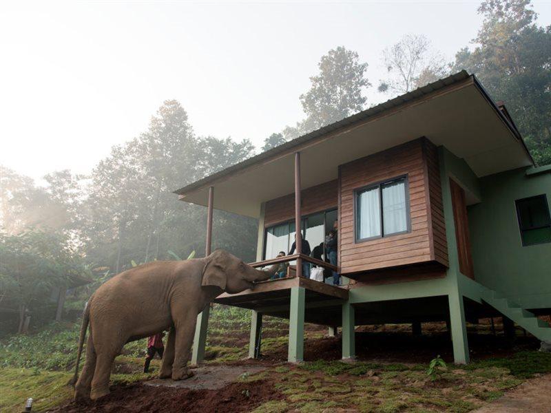 Hotel Chiang Mai Elephant Friends Esterno foto